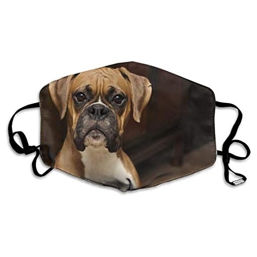 Munskydd boxer hund mönster unisex munskydd tryck park vuxen