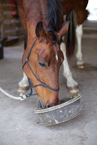 Sbs Equine Starting Gate Granules For Horses | Horse Calming Supplement That Prevents & Reverses Gastric Equine Ulcers | 5 Gallon Pail | 15 Week Supply #TOP6