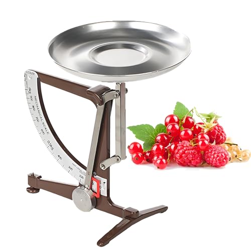 Balance de cuisine mécanique avec pendule en acier inoxydable et plateau en aluminium pour une cuisson précise, une cuisson et des mesures scientifiques