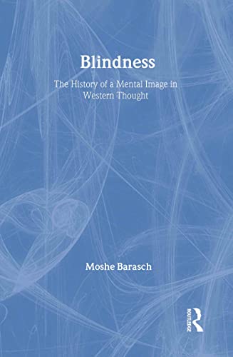 Blindness solution contre le vis-à-vis pour préserver votre intimité - 2