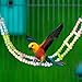 ShengQuanHao Bird Ladder Bridge Bird Cage Accessories Parrot Playstand Activity Center for Hamster, 10 Ladders