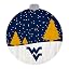 West Virginia Mountaineers