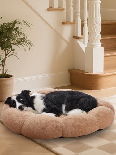 OhGeni 36 inches Calming Donut Orthopedic Dog & Cat Bed for Large Pets, Warming Comfort Fluffy Short Pile Fur, Durable Waterproof Machine Washable Removable Cover, Cute Round Bed for Puppy, Camel