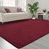 Amazon.com: FlyDOIT Area Rugs for Bedroom Living Room, 5x8 Rose Red ...