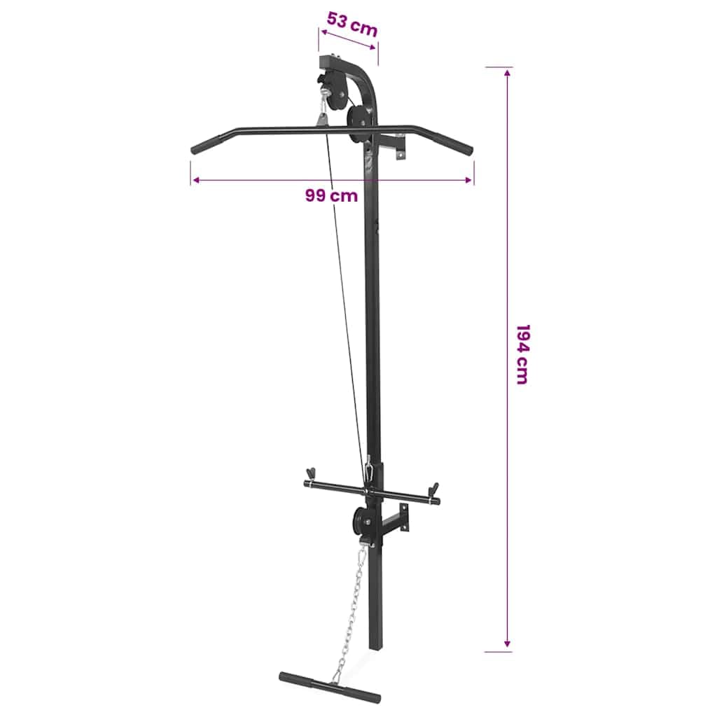vidaXL Wand-Heimtrainer, 2 Umlenkrollen, Lat-Zug & Low Pull-Up, robuster Stahlrahmen, 99x53x194 cm, Griffe mit Soft-Touch, bis 120 kg Gewichtsscheiben, geeignet für 25 mm Scheiben