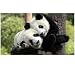 Deux Pandas Géants Escaladant Un Arbre Casse-Tête en Bois 300 Pièces Jeux pour Adultes Apprentissage des Jouets De Cognition Intelligence Casse-Tête Décoration De Bureau À Domicile