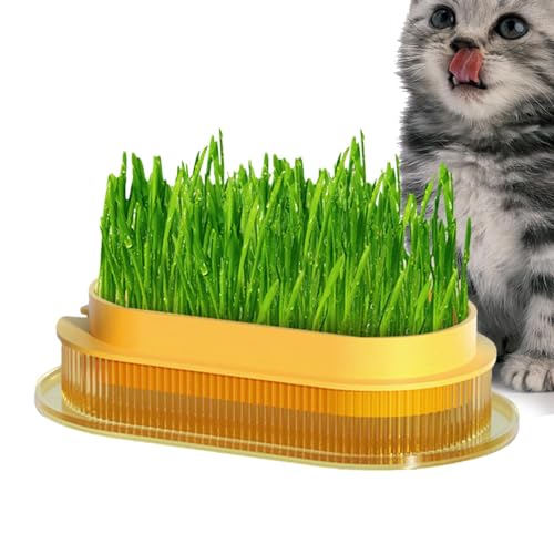 Jardinera para gatos | Jardinera para gatos, jardinera segura para gatos, bañera transparente para gatos de interior