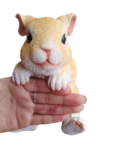 Jabones, Kitchen Imagen adicional