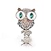 Broches pour vêtements Broches et épingles Mignons Yeux Verts Hibou Broches Pour Femmes Enfants Cadeau D'anniversaire Bijoux Strass Animal Broche Épingles En Émail Vêtements Corsage Pin