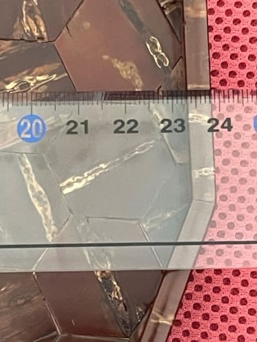 Cherry Blossom Bark Hexagon Basin Turtle Shell