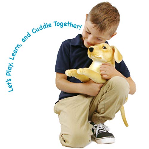TigerHart Mason Der Labrador - 48 cm Großes Plüschtier