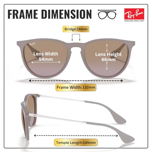 Image of Ray-Ban RB4171 ERIKA CLASSIC Phantos Shaped Sunglasses for Women with Official RAYBAN Eyewear Kit