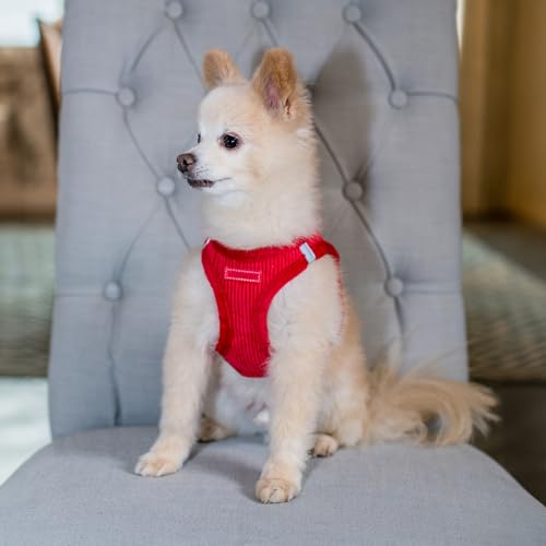 Voyager Step-In Plüsch-Hundegeschirr by Best Pet Supplies - Step-In-Westengeschirr für kleine und mittelgroße Hunde, Weicher Plüsch, Roter Kordr, size S - Brust 37-40 cm