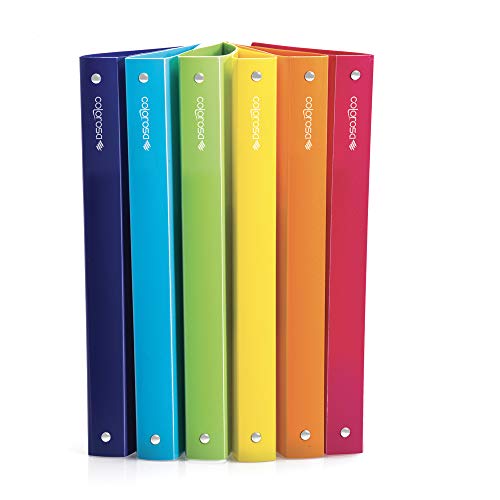 RI.PLAST 89358 - Archivador Colorosa 4R, Ø15 mm, colores surtidos, 245 x 307 mm