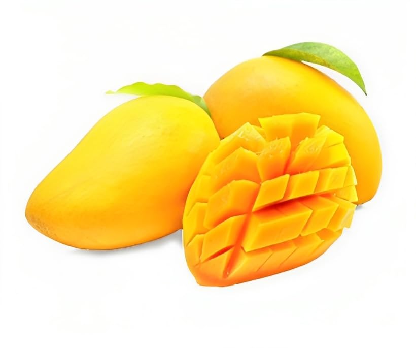 Image of Combo 2 ''Bhagalpuri Mango Tree Hybrid inch Original Desi Delicious Huge Productivity Rare Mango Fruit Grafted Live Plant Plant For Home Garden