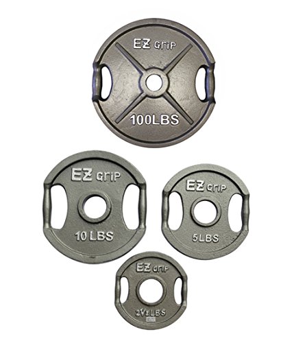 Ader Gray Olympic EZ Grip Plates (10lbs)