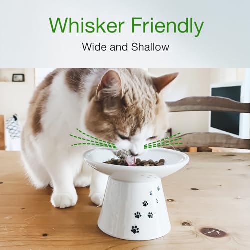 image for Necoichi Extra Wide Raised Cat Food Bowl, Elevated, Prevent Neck & Whi