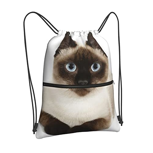 WTbN В ibvTbN VL VlR ʐ^ ВobN X|[c e  ̑ |Pbgt y jp s  W     qp lp GRobO Rxkubiwe