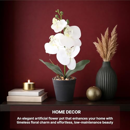 Image of Habere India-All the Cultures Fabricating India White Orchid Artificial Plants with Pot for Home Decor | Small Fake Flower Plants for Living Room & Indoor Decoration (Design02: L8.5 x W8.5 x H32 cm)
