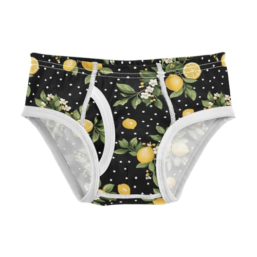 Lemon and Polka Dots Toddler Boy's Underwear 2T 202c0135