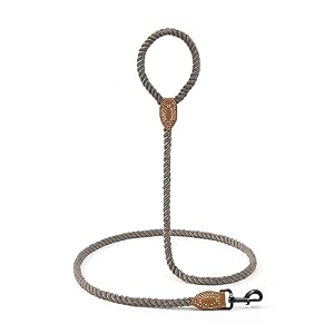 Mile High Life Dog Leash | Braided Cotton Rope Dog Leashes with Leather Tailor Tip | 4 Feet Dog Leash w Heavy Duty Metal Clasp | Wedding Dog Leash (Camel, 48 Inches) Mile High Life Dog Leash | Braided Cotton Rope Dog Leashes with Leather Tailor Tip | 4 Feet Dog Leash w Heavy Duty Metal Clasp | Wedding Dog Leash (Camel, 48 Inches)