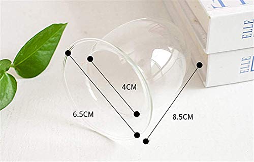 Molinter Vaas hydrocultuur bloempot hydrocultuur glazen flessen bloemenvaas met flamingo plank voor kantoor Home Decor (stijl 1) - Afbeelding 5