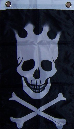 New 12X18 Flaming Pirate Skull Crown Boat Flag