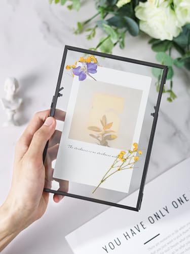 REDHUGO Gepresste Blumenrahmen, Glas-Schwebeframe zur Anzeige von getrockneten Pflanzenspezimenbildern… – Ansicht 2