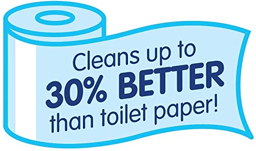 Kandoo Flushable Wipes For Baby And Kids, Unscented For Sensitive Skin, Hypoallergenic Potty Training Wet Cleansing Cloths, 50 Count, 10 Pack + Tub #TOP2