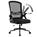 naspaluro Ergonomic Office Desk Chair, Height Adjustable Executive Work Computer Chairs with Padded Seat Cushion, Swivel Mesh Chair with 90° Flip-up Armrest & Lumbar Support for Home/Office