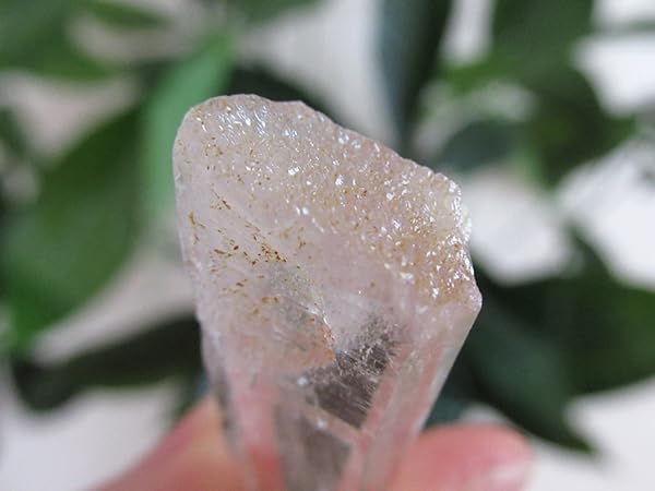 Amazon.co.jp: コロンビア産 レムリアンシードクリスタル 水晶