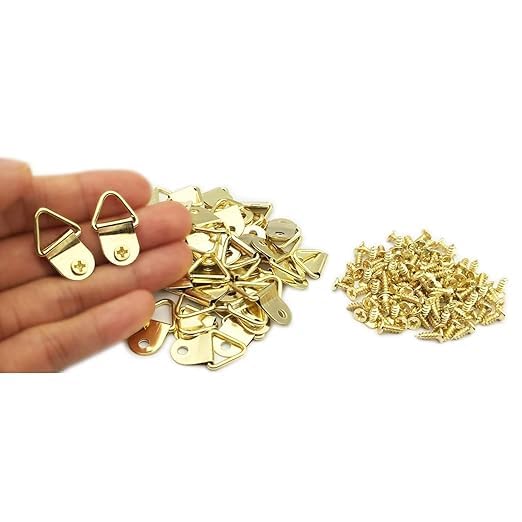 RED APPEL Small Triangle Ring Steel Picture Hangers with Screws Picture Frames Picture Hang Solutions, for Hanging Clock Paintings Artwork Picture Frame Hook Photos(Gold) (Small, 10)