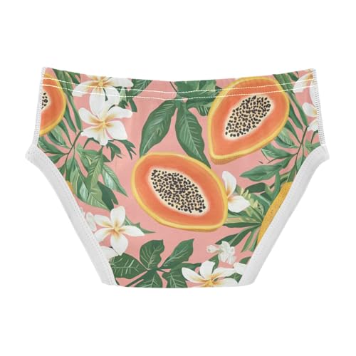 Wusikd Papayas Boys' Underwear Cotton Tropical Flowers Leaves Boys Briefs Soft Toddler Underwear 2T2