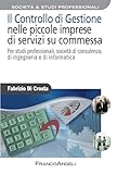  Il controllo di gestione nelle piccole imprese di servizi su commessa. Per studi professionali, società di consulenza, di ingegneria e di informatica