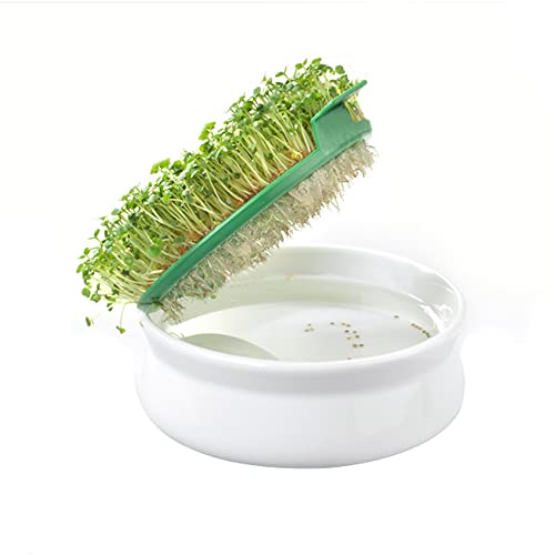 Germ'line - Coupelle de Germination | Spéciale Graines à Mucilage | Cresson, Moutarde, Chia, Basilic | Grès Émaillé & Fibre de Blé | Fabrication Française