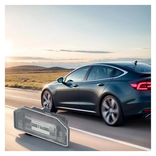 Luz placa matrícula coche para Tesla Model 3 acabado preciso de alta durabilidad 5