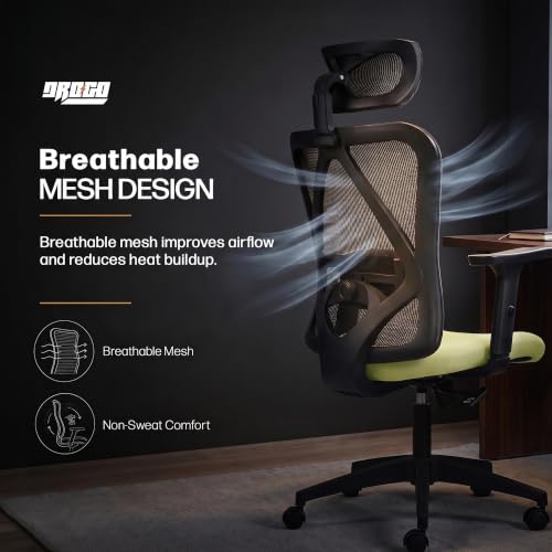 Image of DROGO Ergonaut Ergonomic Office Chair for Work from Home | Computer Chair with 2D Headrest, Armrests & Adjustable Lumbar Support | Breathable Mesh with 120 Recline, 1-Year Warranty (Black & Green)