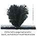 GYBZZR Sequins Feathers Headpiece 2 Pieces Feather Headband Mardi Gras Accessories 1920s Flapper Fashion Headwear For Womens (Black)