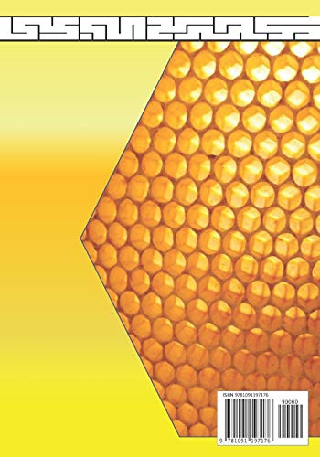 A Bee Quest: A Maze Activity Adventure with Facts about Bees image 4