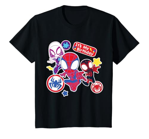 Marvel Spidey and His Amazing Friends It's My Birthday Tee T-Shirt for Kids Boys Girls - image 1