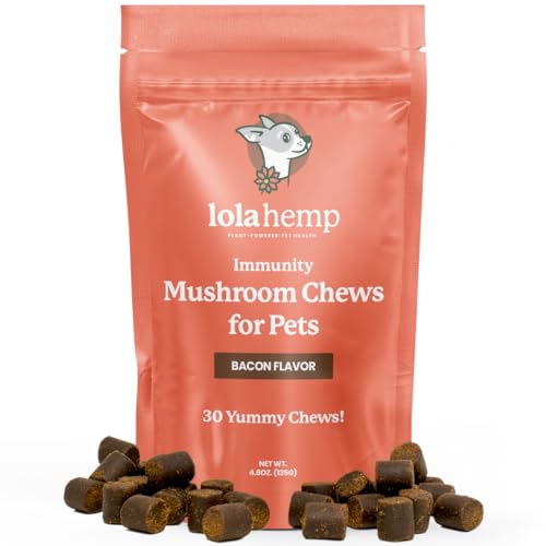 Lolahemp Mushroom Supplement for Dogs - Tasty Chews with Organic Mushroom Complex for Immune System & Cognitive Health - Turkey Tail Reishi Shiitake Maitake & Lions Mane