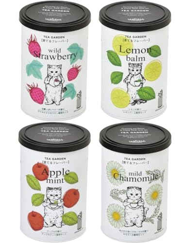 【全4種セット+メッセージカード付き】聖新陶芸 育てるフレーバー 栽培キット ワイルドストロベリー レモンバーム アップルミント カモミール 栽培セット ギフト