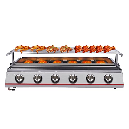 Outdoor Park Grills, 6 Burner Gas BBQ Grill With Adjustable Temperature