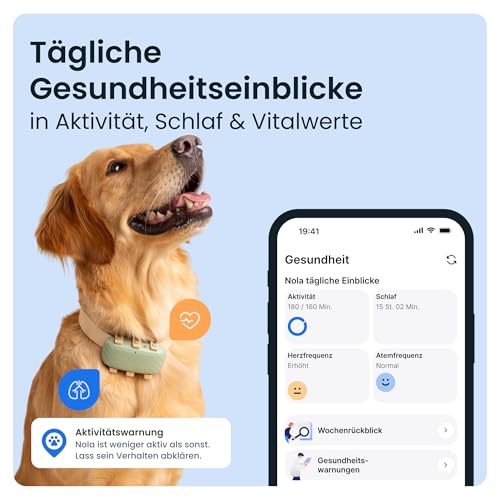 Tractive XL GPS Tracker für Hunde | Empfohlen von Martin Rütter | Bis zu 1 Monat Akku | Weltweite Live-Ortung | Weglaufalarm | Gesundheitswarnungen & Aktivitätstracking | Mehrfacher Testsieger
