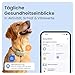 Tractive XL GPS Tracker für Hunde | Empfohlen von Martin Rütter | Bis zu 1 Monat Akku | Weltweite Live-Ortung | Weglaufalarm | Gesundheitswarnungen & Aktivitätstracking | Mehrfacher Testsieger