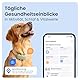 Tractive XL GPS Tracker für Hunde | Empfohlen von Martin Rütter | Bis zu 1 Monat Akku | Weltweite Live-Ortung | Weglaufalarm | Gesundheitswarnungen & Aktivitätstracking | Mehrfacher Testsieger