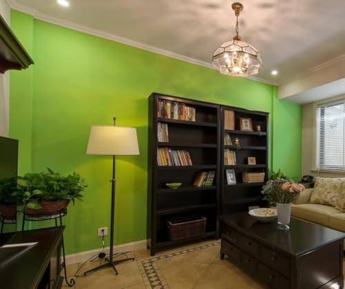 Image of DEEMUS Light Green Matte Peel & Stick Self Adhesive Waterproof Sticker for Living Room, Bedroom Office,Almirah, Floor, Tabletop, Wall, Fridge,& Renovation Projects (2 x 25 Feet)