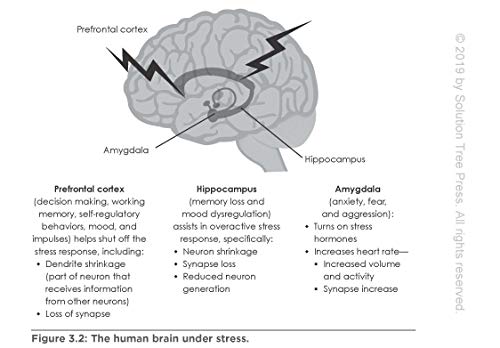 Mindfulness Practices: Cultivating Heart Centered Communities Where Students Focus and Flourish (Creating a Positive Learning Environment Through Mindfulness in Schools) - Image 3