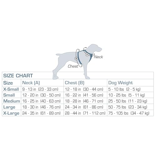 Kurgo TRU-Fit Leine, Halsband Hund, No Pull Hundegeschirr, Frontclipfunktion für Training & Hundegurt fürs Auto, Hunde Zubehör. Schwarz, Größe: L (groß)