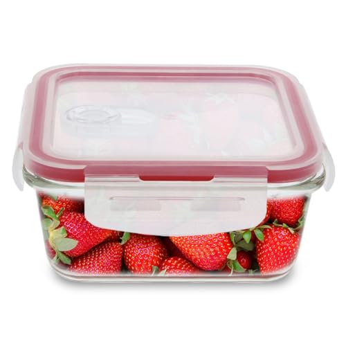 Amig - Contenitore ermetico in vetro da 690 ml | Forno a microonde, congelatore sicuro | Facile da pulire, senza BPA | Ideale per lavoro/tempo libero, trasparente, 141 x 141 x 61 mm